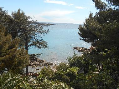 Ferienwohnung in Bandol (Var) oder Ferienwohnung oder Ferienhaus
