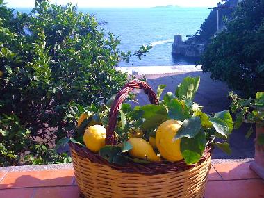 Pension in positano (Salerno) oder Ferienwohnung oder Ferienhaus