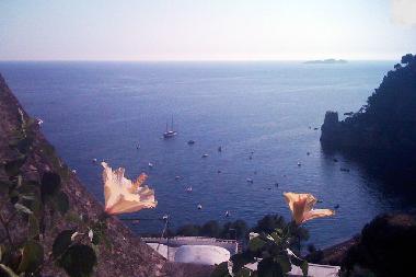 Pension in positano (Salerno) oder Ferienwohnung oder Ferienhaus