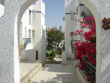 Ferienwohnung in Шарм ель (Shamal Sina
