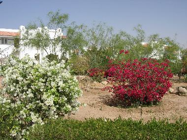 Ferienwohnung in Шарм ель (Shamal Sina