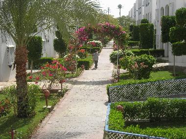 Ferienwohnung in Шарм ель (Shamal Sina