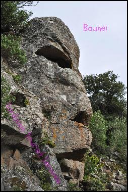 Ferienwohnung in Tortoli (Ogliastra) oder Ferienwohnung oder Ferienhaus
