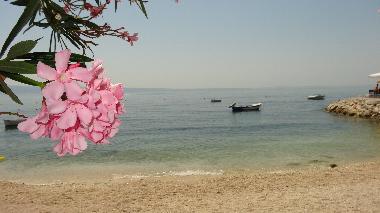 Ferienwohnung in Podstrana (Splitsko-Dalmatinska) oder Ferienwohnung oder Ferienhaus