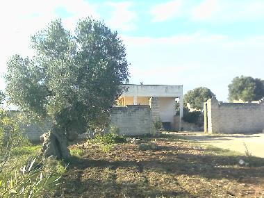 Eingang - GPS-Koordinaten: N 40.87612 E 17.37079