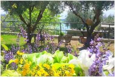 Ferienhaus in Marina di Camerota (Salerno) oder Ferienwohnung oder Ferienhaus