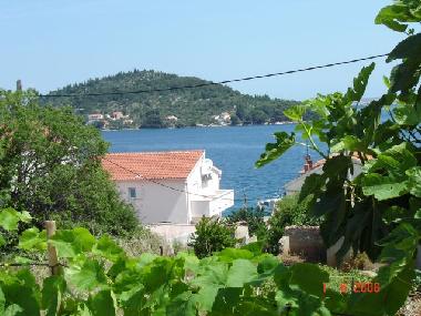 Ferienhaus in Kali auf der Insel Ugljan (Zadarska) oder Ferienwohnung oder Ferienhaus