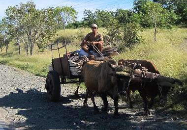 Chalet in GUARDALAVACA.HOLGUIN (Holguin) oder Ferienwohnung oder Ferienhaus