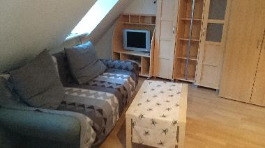 Trier, Appartement 1 , ca. 30 qm gro, ein Sofa als auch zustzliche Schlafgelegenheit nutzbar
