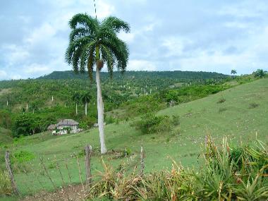 Chalet in GUARDALAVACA.HOLGUIN (Holguin) oder Ferienwohnung oder Ferienhaus