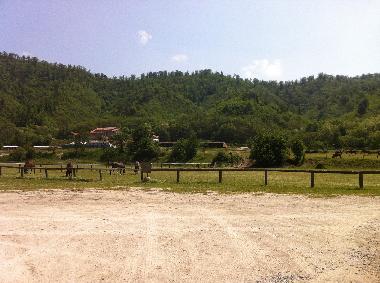 Ferienhaus in Plodio (Savona) oder Ferienwohnung oder Ferienhaus