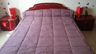 Villa in saint gilles (Gard) oder Ferienwohnung oder Ferienhaus