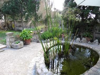 Teich mit kleinen Fischen