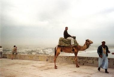 Ferienwohnung in Agadir (Agadir) oder Ferienwohnung oder Ferienhaus