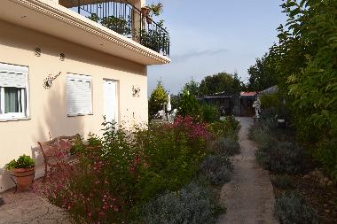 Pension in Paliambela/Vonitsa (Preveza) oder Ferienwohnung oder Ferienhaus