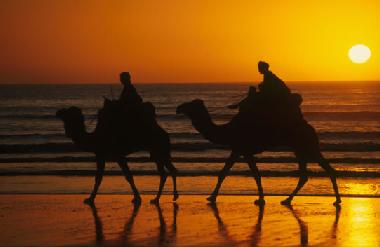 Ferienwohnung in Agadir (Agadir) oder Ferienwohnung oder Ferienhaus