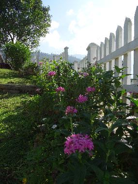 Ferienhaus in Mahakanda Kandy (Kandy) oder Ferienwohnung oder Ferienhaus