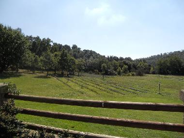 Ferienhaus in Fiumicino (Roma) (Roma) oder Ferienwohnung oder Ferienhaus