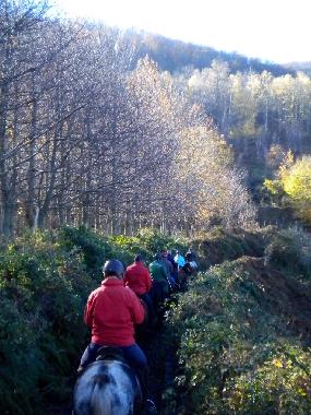 Pension in San Marco in Lamis (Foggia) oder Ferienwohnung oder Ferienhaus