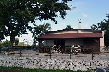 Pension in San Marco in Lamis (Foggia) oder Ferienwohnung oder Ferienhaus