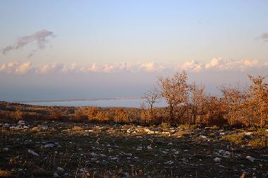 Pension in San Marco in Lamis (Foggia) oder Ferienwohnung oder Ferienhaus