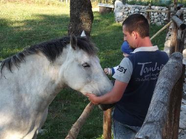 Pension in San Marco in Lamis (Foggia) oder Ferienwohnung oder Ferienhaus