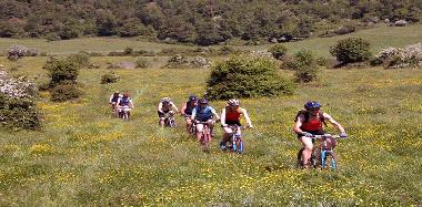 Pension in San Marco in Lamis (Foggia) oder Ferienwohnung oder Ferienhaus