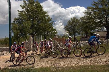 Pension in San Marco in Lamis (Foggia) oder Ferienwohnung oder Ferienhaus
