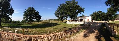 Pension in San Marco in Lamis (Foggia) oder Ferienwohnung oder Ferienhaus