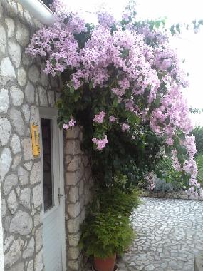 Ferienwohnung in Dubrovnik (Dubrovacko-Neretvanska) oder Ferienwohnung oder Ferienhaus