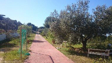 Ferienhaus in AGIOI (Attiki) oder Ferienwohnung oder Ferienhaus