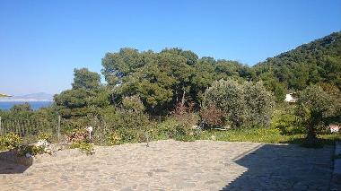 Ferienhaus in AGIOI (Attiki) oder Ferienwohnung oder Ferienhaus