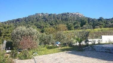 Ferienhaus in AGIOI (Attiki) oder Ferienwohnung oder Ferienhaus