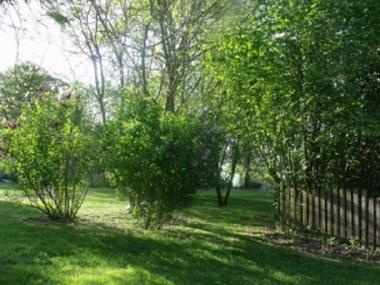 Ferienhaus in ST AUBIN DE LANQUAIS (Dordogne) oder Ferienwohnung oder Ferienhaus