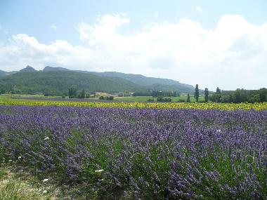 Ferienhaus in Pont de Barret (Dr�me) oder Ferienwohnung oder Ferienhaus