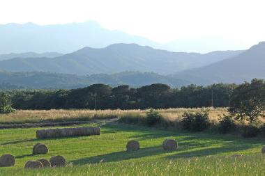 Villa in Riudarenes (Girona) oder Ferienwohnung oder Ferienhaus