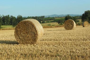 Villa in Riudarenes (Girona) oder Ferienwohnung oder Ferienhaus
