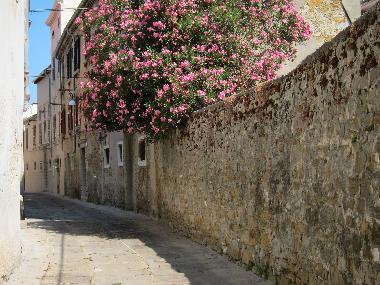 Ferienwohnung in Koper (Koper) oder Ferienwohnung oder Ferienhaus