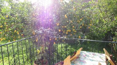 Ferienwohnung in Pelion (Magnisia) oder Ferienwohnung oder Ferienhaus