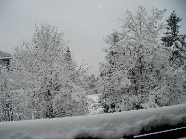 Hotel in chamrousse (Isre) oder Ferienwohnung oder Ferienhaus