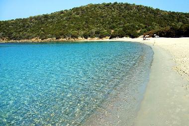 Ferienwohnung in Sant'Antioco (Carbonia-Iglesias) oder Ferienwohnung oder Ferienhaus