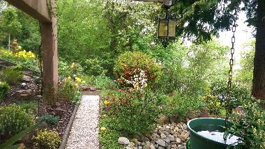 Garten im Mai