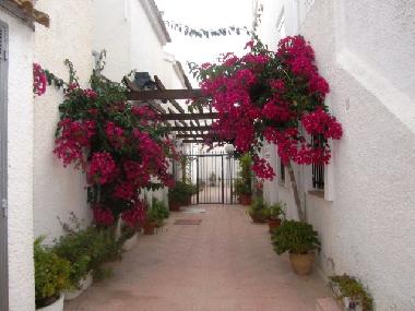 Ferienwohnung in Torrevieja (Murcia) oder Ferienwohnung oder Ferienhaus