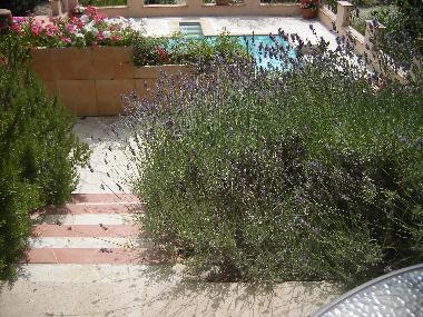 Ferienhaus in Flayosc (Var) oder Ferienwohnung oder Ferienhaus