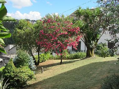 Ferienwohnung in Marmeleira (D�o-Laf�es) oder Ferienwohnung oder Ferienhaus