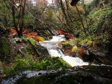 Ferienwohnung in Marmeleira (D�o-Laf�es) oder Ferienwohnung oder Ferienhaus