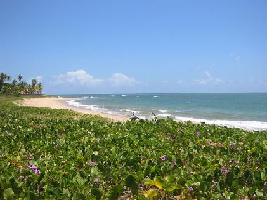 Ferienhaus in Cama�ari (Bahia) oder Ferienwohnung oder Ferienhaus