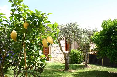 Ferienhaus in Palau (Olbia-Tempio) oder Ferienwohnung oder Ferienhaus