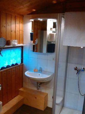 Tageslichtbad mit Dusche