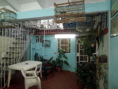 Ferienwohnung in 217 000 (Villa Clara) oder Ferienwohnung oder Ferienhaus